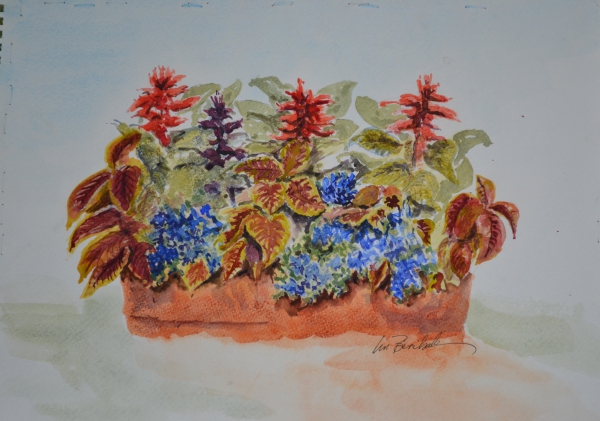 Click here to view Coleus and Salvia by Lin Beribak