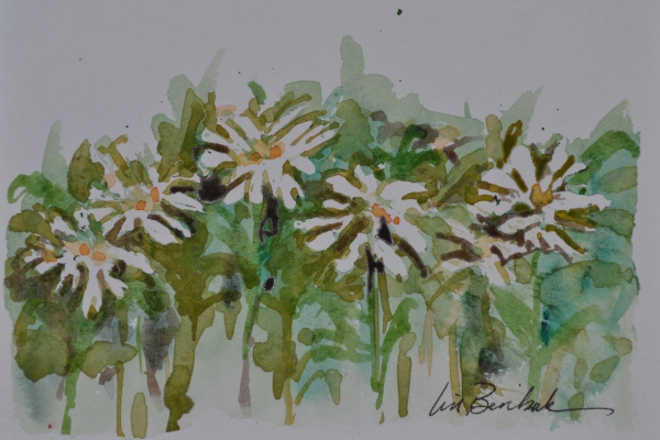 Click here to view Daisies on Parade by Lin Beribak